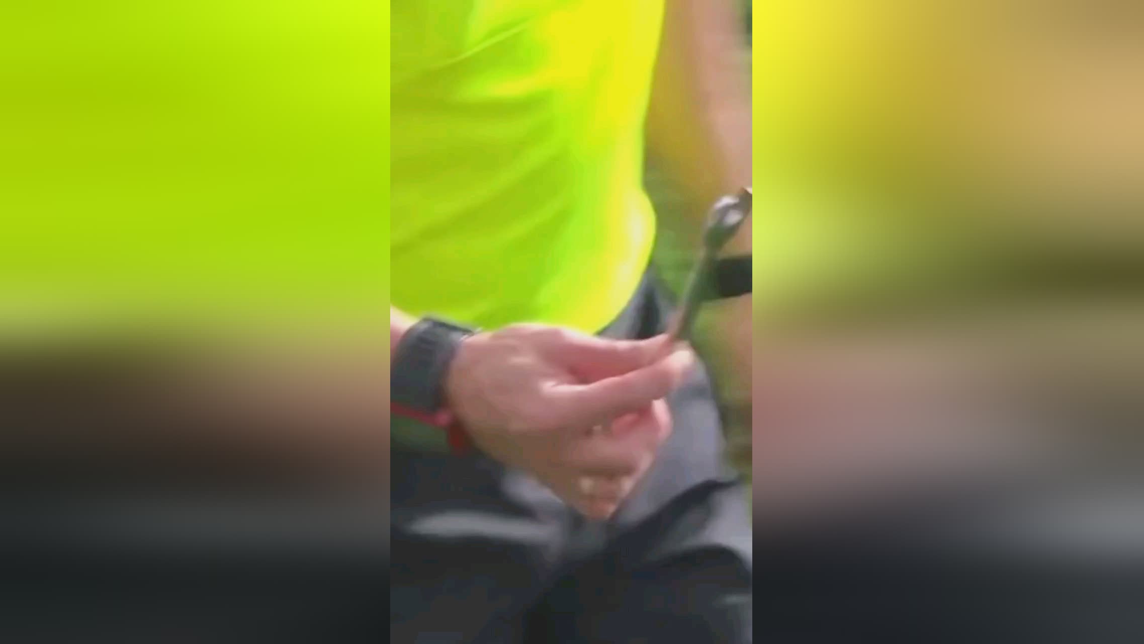 队员们